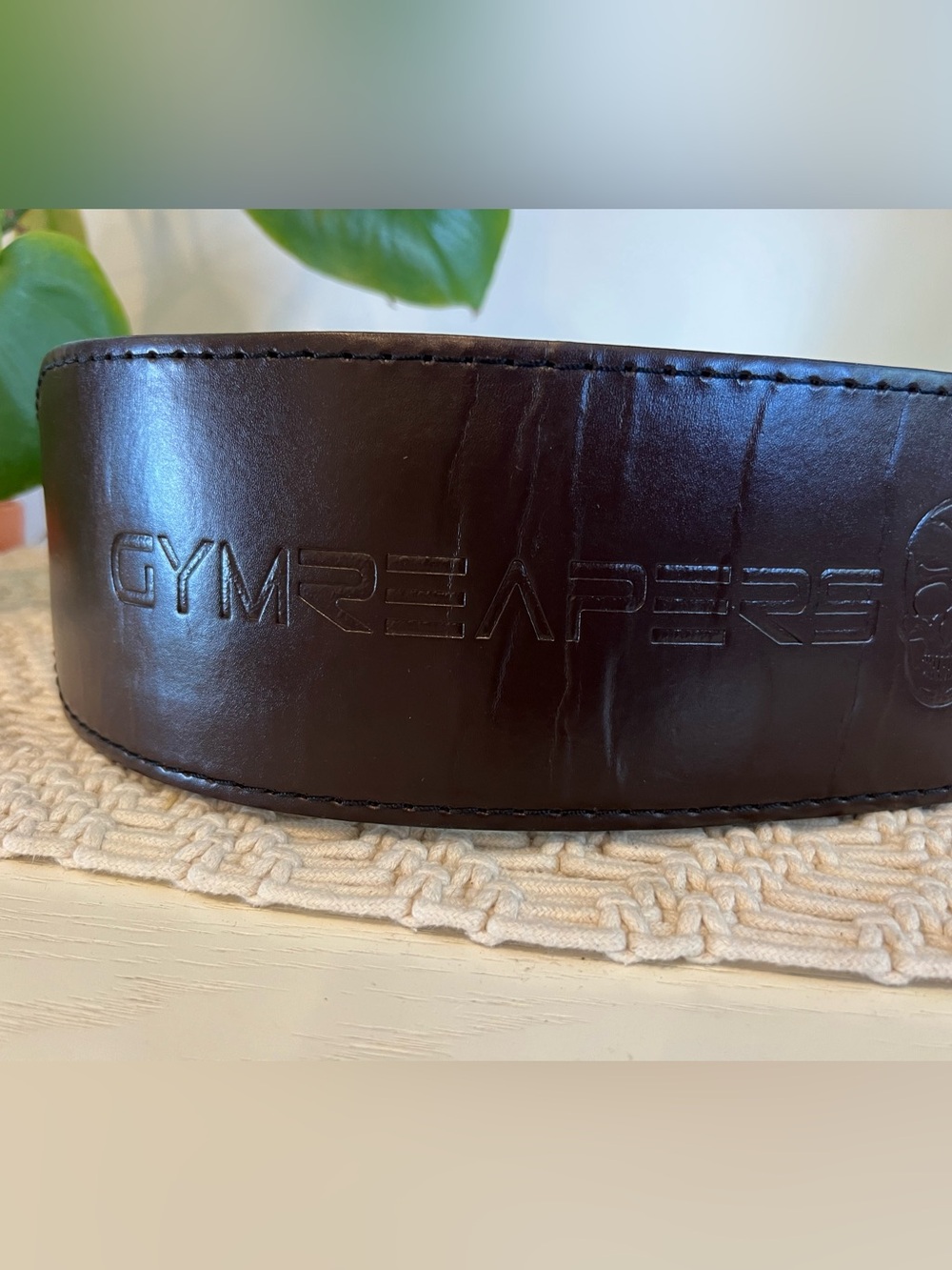GymReapers  weight belt